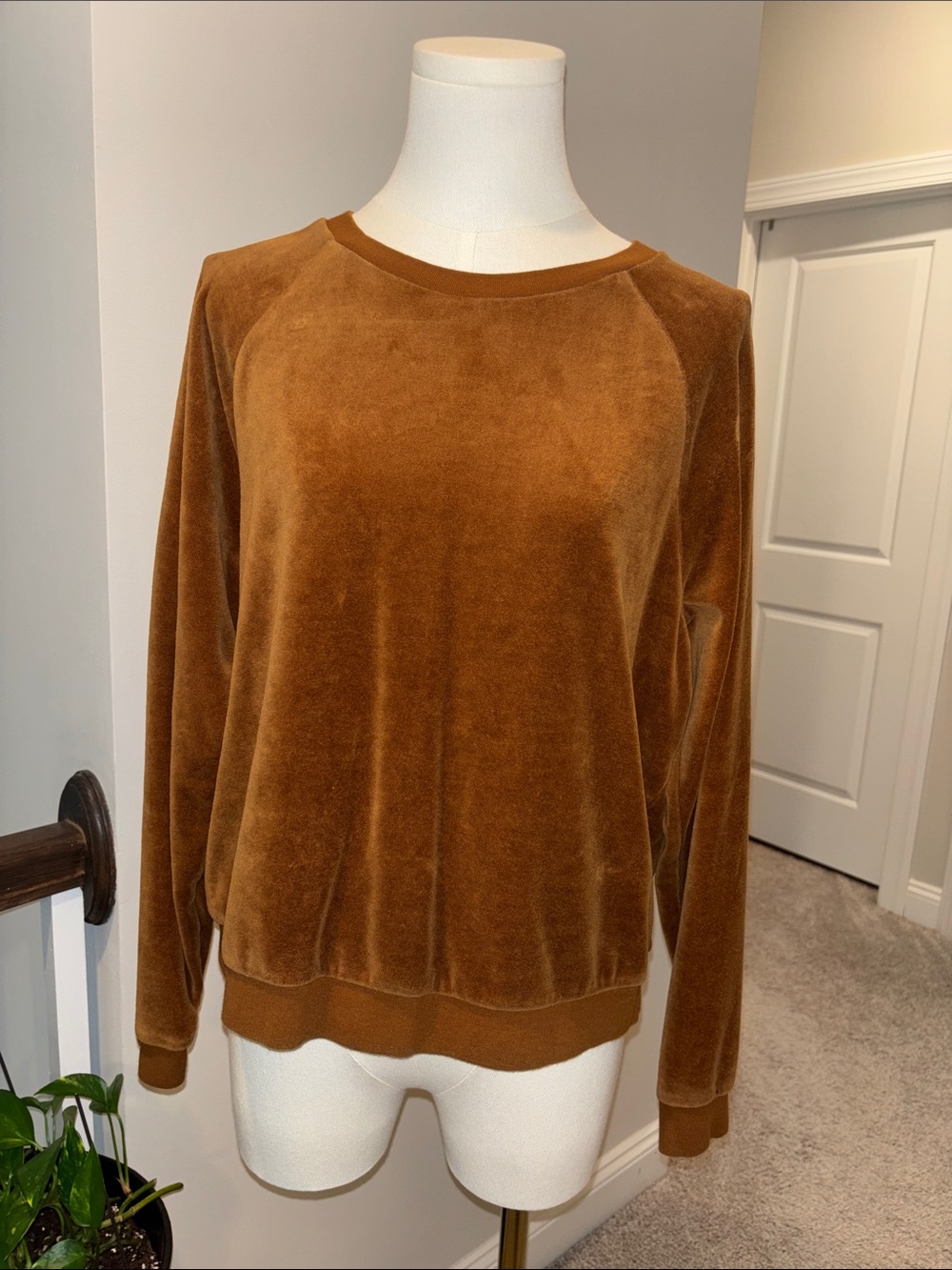 GAP Women’s Velour Crew Sweater in Camel
